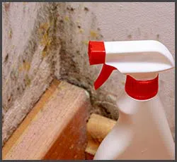 Boynton Beach Restoration Company Boynton Beach, FL 561-303-0292 Boynton Beach Restoration Company Boynton Beach, FL 561-303-0292 - mold-removal-02