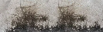 logo-image - sm-banner-03
